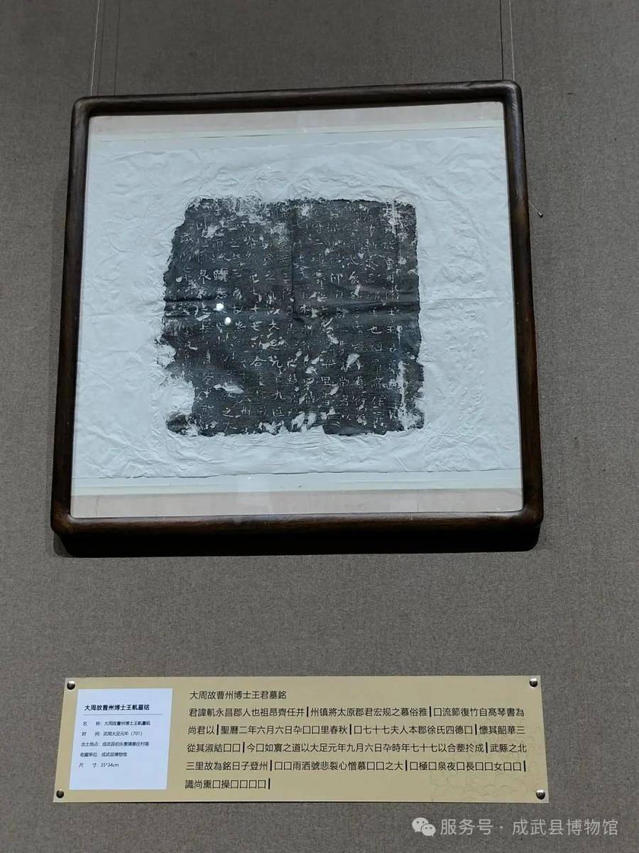 成武县出土墓志铭拓片鉴赏展亮相菏泽市图书馆:图书馆
