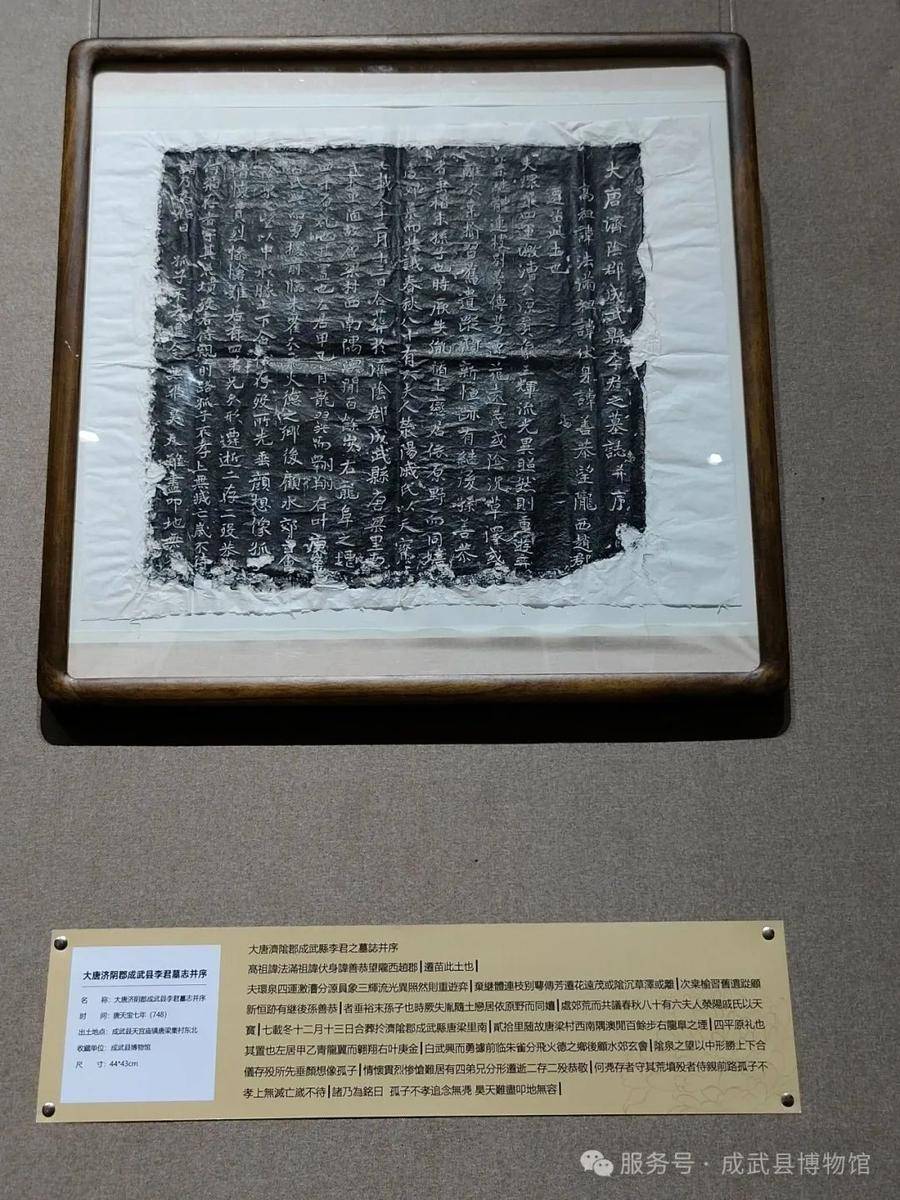 成武县出土墓志铭拓片鉴赏展亮相菏泽市图书馆:图书馆