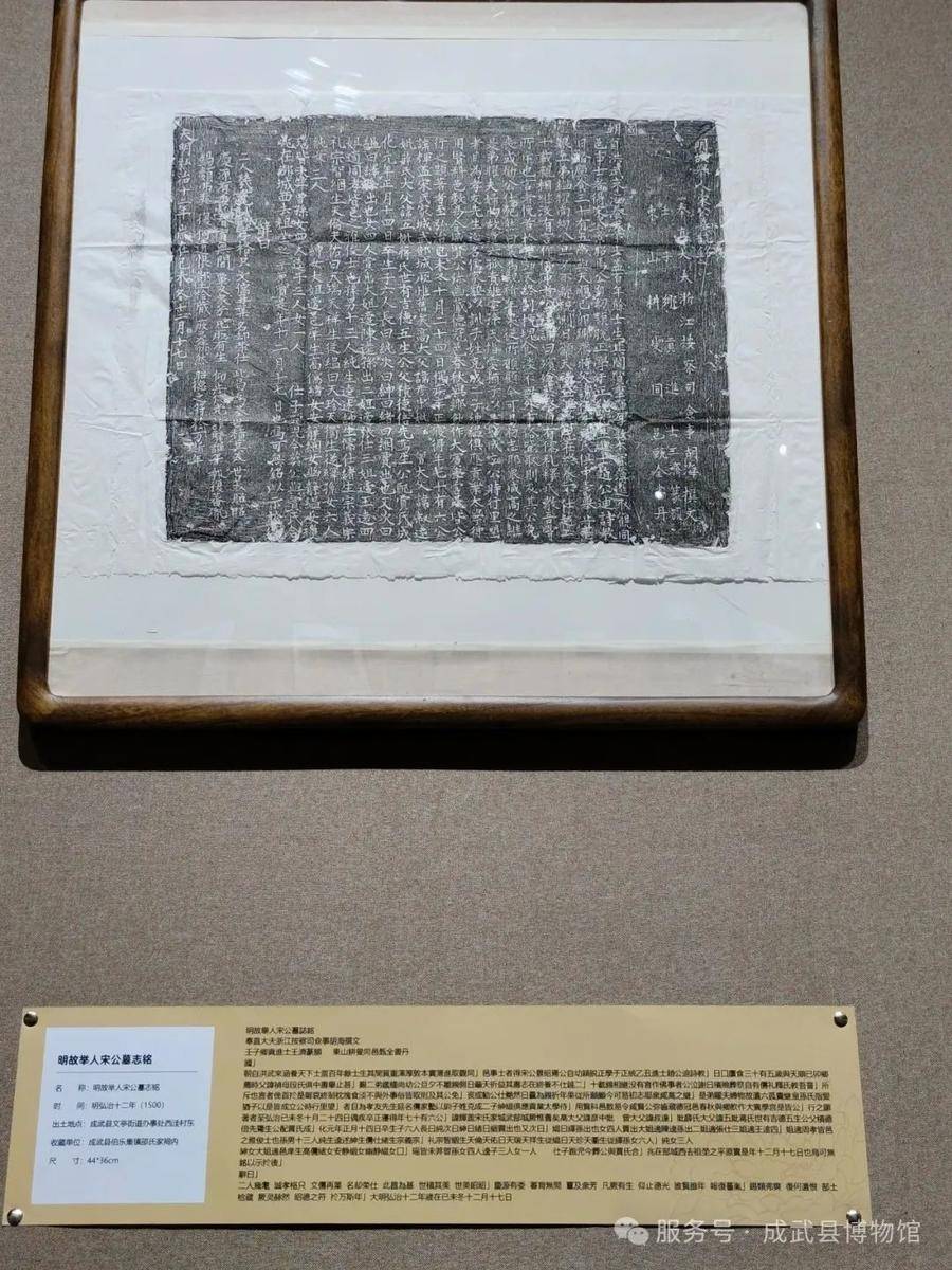 成武县出土墓志铭拓片鉴赏展亮相菏泽市图书馆:图书馆