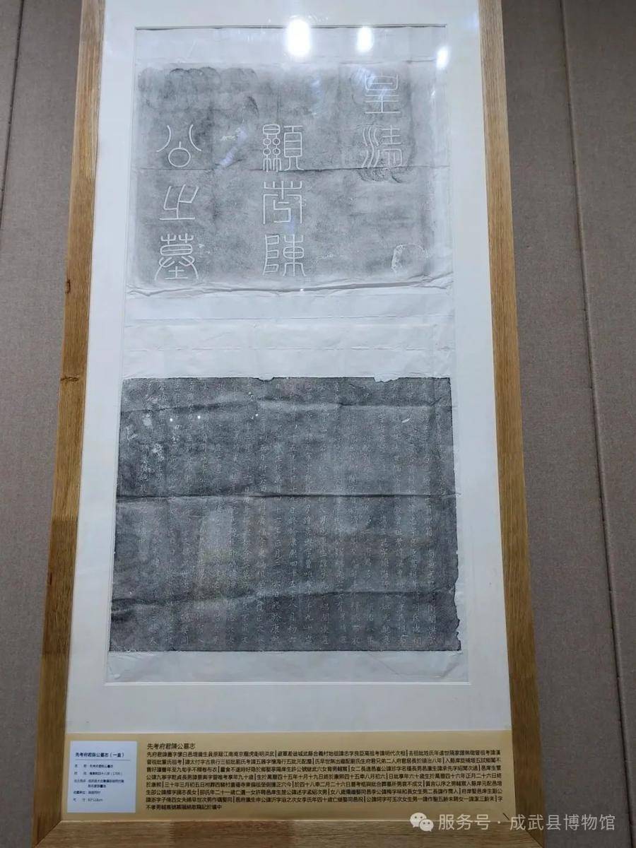 成武县出土墓志铭拓片鉴赏展亮相菏泽市图书馆:图书馆